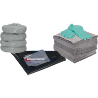 Trousse de rechange pour atelier, 30 gallons, Universel Nia-Chem Ltd.