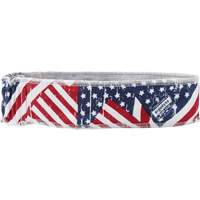 Chill-Its 6605 Cooling Headbands, Multi-Colour Nia-Chem Ltd.