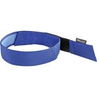 Foulard de refroidissement par &eacute;vaporation Chill-Its 6705CT, Bleu Nia-Chem Ltd.