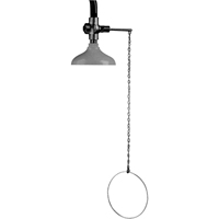 Lifesaver&reg; Emergency Overhead Showers, Ceiling-Mount Nia-Chem Ltd.