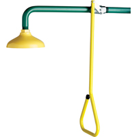Lifesaver&reg; Emergency Overhead Showers, Wall-Mount Nia-Chem Ltd.