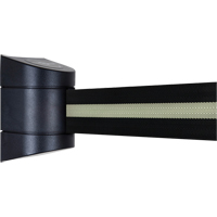 Unit&eacute;s murales Tensabarrier, Plastique, Fixation par vis, 15', Ruban Noir Nia-Chem Ltd.
