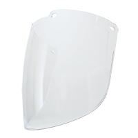 Faceshield Visors