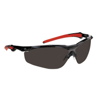 Dynamic Hawk Series Safety Glasses, Smoke Lens, Anti-Fog, ANSI Z87+/Meets/Exceeds CSA Z94.3 Nia-Chem Ltd.