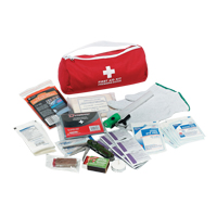 Dynamic Car First Aid Kit, Class 1 Medical Device, Nylon Bag Nia-Chem Ltd.