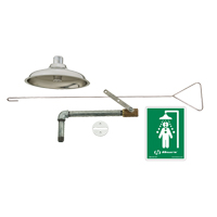 Drench Shower, Ceiling-Mount Nia-Chem Ltd.