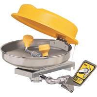 Poste de douche oculaire, Installation Montage mural, Bol Acier inoxydable Nia-Chem Ltd.