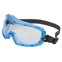 Uvex&reg; Entity Safety Goggles, Clear Lens, Anti-Fog, Indirect Vent Nia-Chem Ltd.