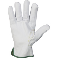 Endura&reg; Cut-Resistant Arc Flash Gloves, X-Small, 10" L, 36 cal/cm², Level 3, NFPA 70E Nia-Chem Ltd.