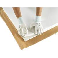 PX140 Coated Gloves, 6/X-Small, Polyurethane Coating, 15 Gauge, Nylon Shell Nia-Chem Ltd.