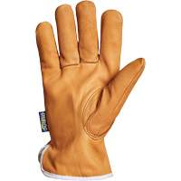 Endura&reg; Driver's Glove, Small, Grain Goatskin Palm, Thinsulate Inner Lining Nia-Chem Ltd.
