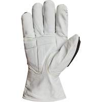 Endura&reg; 378GKGVBE Cut & Impact Resistant Gloves, Small, Goatskin Palm, Driver Cuff Nia-Chem Ltd.