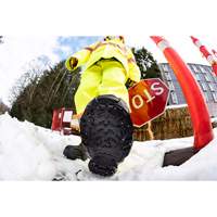 Aide &agrave; la traction robuste, Carbure de tungst&egrave;ne, Traction Crampon, Petit Nia-Chem Ltd.