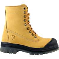 Bottes de travail Dynamic, Cuir, Embout Acier, Taille 7 Nia-Chem Ltd.