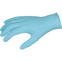 Gants jetables DuraShield, Grand, Nitrile, 3 mils, Sans poudre, Bleu Nia-Chem Ltd.