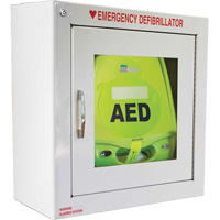 Surface Wall Mounting AED Cabinet, Zoll AED Plus<sup>®</sup> For, Non-Medical SGU177 | Nia-Chem Ltd.