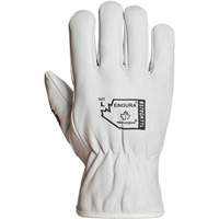 Endura&reg; Winter-Lined Driver Gloves, X-Large, Grain Goatskin Palm, Thinsulate Inner Lining Nia-Chem Ltd.