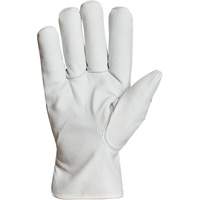 Endura&reg; Winter-Lined Driver Gloves, X-Large, Grain Goatskin Palm, Thinsulate Inner Lining Nia-Chem Ltd.