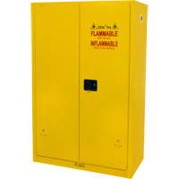 Flammable Storage Cabinet, 45 gal., 2 Door, 43" W x 65" H x 18" D SGU466 | Nia-Chem Ltd.