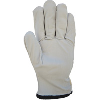 Cotton-Backed Drivers Gloves, Large, Grain Goatskin Palm Nia-Chem Ltd.