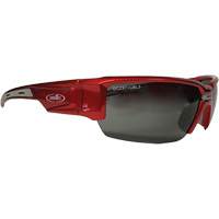 Lunettes de s&eacute;curit&eacute; Hartley, Lentille Gris, Polaris&eacute;, R&eacute;pond ou surpasse la norme CSA Z94.3 Nia-Chem Ltd.