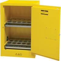 Flammable Aerosol Storage Cabinet, 12 gal., 1 Door, 23" W x 35" H x 18" D SGX675 | Nia-Chem Ltd.