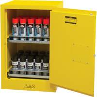 Flammable Aerosol Storage Cabinet, 12 gal., 1 Door, 23" W x 35" H x 18" D SGX675 | Nia-Chem Ltd.