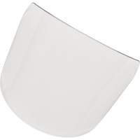 Visi&egrave;re standard pour casque Nia-Chem Ltd.