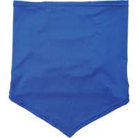 Bandeau cache-cou refroidissant Chill-Its 6483 avec pochette, Bleu Nia-Chem Ltd.
