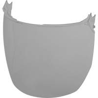 Face Shield Replacement Lenses, Polycarbonate, Grey/Smoke Tint Nia-Chem Ltd.