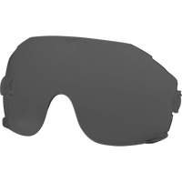 Eye Visor Replacement Lenses, Grey/Smoke Tint Nia-Chem Ltd.