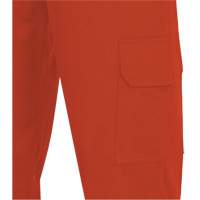 7765 Pantalon cargo de s&eacute;curit&eacute; haute visibilit&eacute; r&eacute;sistant aux arcs &eacute;lectriques FR-Tech 88/12, 30, x 32, Orange haute visibilit&eacute;, 10 cal/cm² Nia-Chem Ltd.