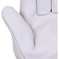 535G Beige Driver's Gloves, Small, Grain Cowhide Palm Nia-Chem Ltd.
