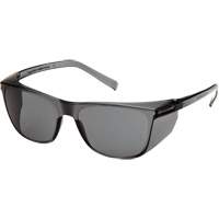 Lunettes de s&eacute;curit&eacute; Legacy, Lentille Gris, ANSI Z87+/R&eacute;pond ou surpasse la norme CSA Z94.3 Nia-Chem Ltd.