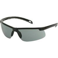 Lunettes de s&eacute;curit&eacute; Ever-Lite, Lentille Gris, Antibu&eacute;e, ANSI Z87+/R&eacute;pond ou surpasse la norme CSA Z94.3 Nia-Chem Ltd.