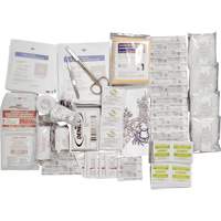 Shield™ Basic First Aid Kit Refill, CSA Type 2 Low-Risk Environment, Small (2-25 Workers) SHJ863 | Nia-Chem Ltd.
