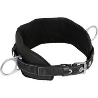 WB-6020-S Safety Positioning 2 Side D-Rings Belt with Padded Lumbar Support - Small Nia-Chem Ltd.