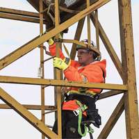 SA-54022-4 Shock Absorbing Lanyard, 4', Form Hook Center, Snap Hook Leg Ends, Polyester Nia-Chem Ltd.