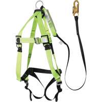 FBH-10000A5440-4 Harnais & longe classe A de 4' avec capacit&eacute; de 220 lb, Combinaison harnais/longe Nia-Chem Ltd.