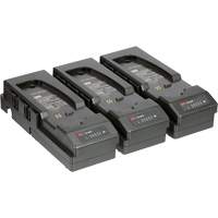 Emballage de chargeur de pile &agrave; trois postes Versaflo  pour APR motoris&eacute; TR-300+ Nia-Chem Ltd.