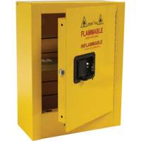 Armoire de s&eacute;curit&eacute; miniature pour produits inflammables, 2 gal., 1 Porte(s), 17" La x 22" h x 8" p Nia-Chem Ltd.