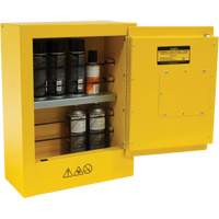 Armoire de s&eacute;curit&eacute; miniature pour produits inflammables, 2 gal., 1 Porte(s), 17" La x 22" h x 8" p Nia-Chem Ltd.