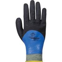 SCXPNTFC Double-Coated Cut-Resistant Gloves, Size 6, 13 Gauge, Nitrile Coated, ParaActiv Shell, ASTM ANSI Level A5 Nia-Chem Ltd.