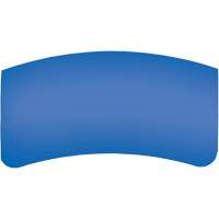 Bullard GenVX PETG Outer Lens Nia-Chem Ltd.