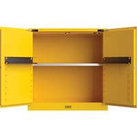 Armoire de s&eacute;curit&eacute; pour produits inflammables Utili-Guard+, 30 gal., 1 Porte(s), 43" La x 44" h x 22" p Nia-Chem Ltd.