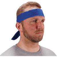 Chill-Its 6702 Cooling Headband with Embedded Polymers & Tie Closure, Blue Nia-Chem Ltd.