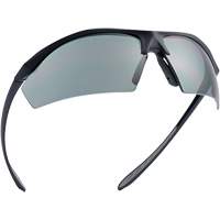 Sentinel Ballistic Protection Safety Glasses, Smoke Lens, Anti-Fog/Anti-Scratch/Polarized, ANSI Z87+ Nia-Chem Ltd.