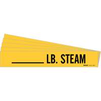 Marqueurs de tuyau LB. Steam, Autocollant, 2-1/4" h x 2-3/4" la, Noir sur jaune Nia-Chem Ltd.