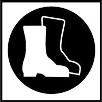 Right to Know Pictogram Labels -Boots, Vinyl, Sheet, 5/8" L x 3/4" W Nia-Chem Ltd.