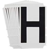 Quick-Align<sup>®</sup>Individual Gothic Number and Letter Labels, H, 4" H, Black SZ996 | Nia-Chem Ltd.